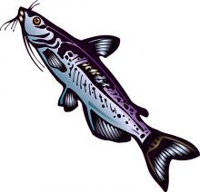 Youth Fishing Derby Saturday